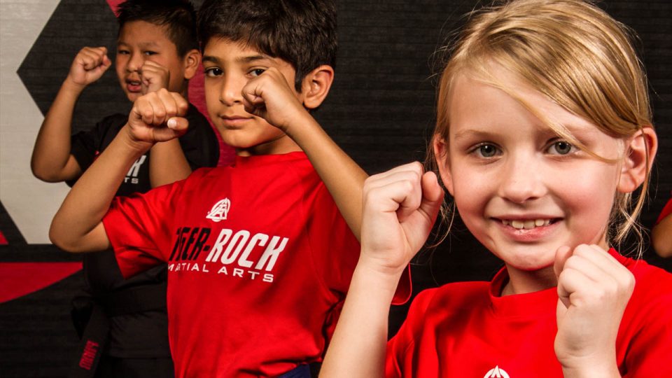 Kids Martial Arts Hagerstown MD Martial Arts TigerRock